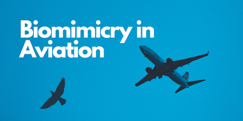 Biomimicry in aviation